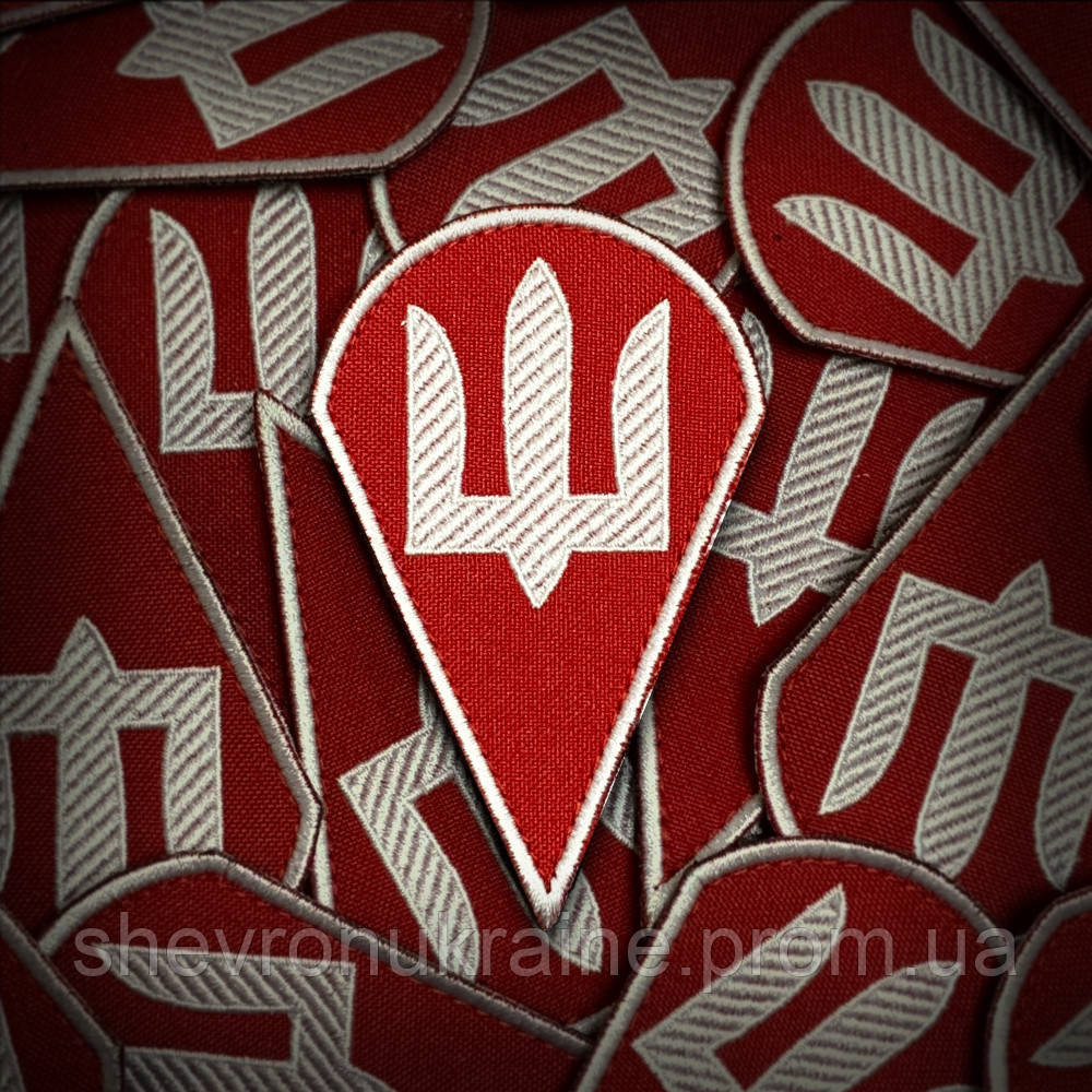 Шеврон ДШВ (Форма капля. На липучке) Размер 9x5.5см Киев - изображение 1
