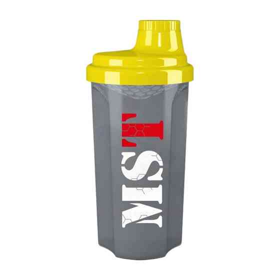 Shaker MST (500 ml, grey) Луцк