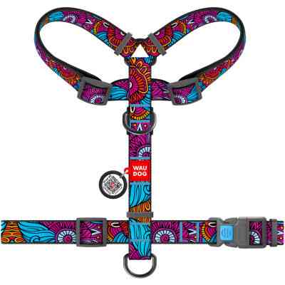 Шлей для собак WAUDOG Nylon с QR паспортом анатомическая H-образная "Лето" L (5575) Винница