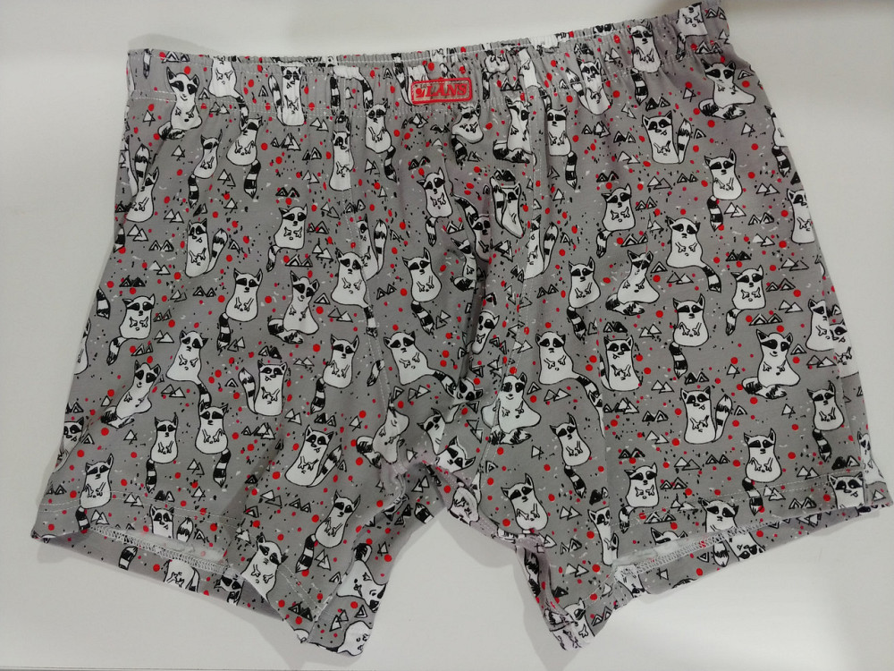 Трусы мужские Шорты Lans 06/040 Киев - изображение 7