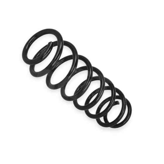 Пружина Skoda Fabia I, II Combi 00- задняя Мукачево