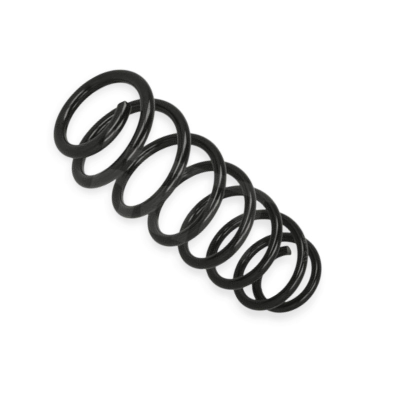 Пружина Skoda Fabia I, II Combi 00- задняя Мукачево - изображение 1