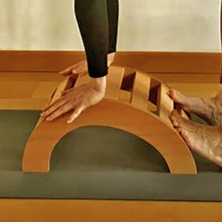 Бекбендер "Джайпур" сієна Миколаїв - фото 1