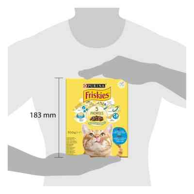 Сухий корм для кішок Purina Friskies зі смаком лосося й овочів 300 г (7613031868063) Вінниця