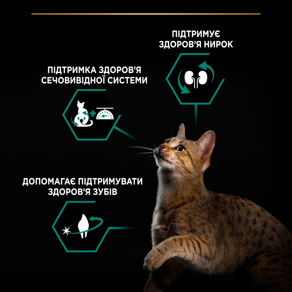 copy_Сухой корм PRO PLAN Sterilised Adult 1+ Renal Plus для взрослых стерилизованных кошек, с индейкой, 10 кг Киев - изображение 6
