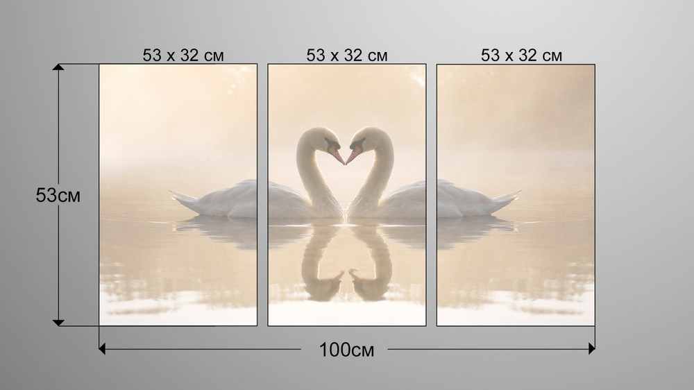 Модульная картина Природа Лебеди  Аrt-206_3А Киев - изображение 3