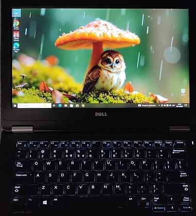 Ноутбук DELL Latitude E7270 i5/ 16Gb./ SSD250Gb./ HD 520 1Gb. / АКБ 6-8 року. Київ