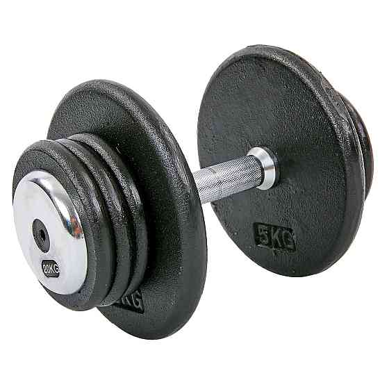 Гантель 20 кг цільна професійна RECORD-7231-20 Київ