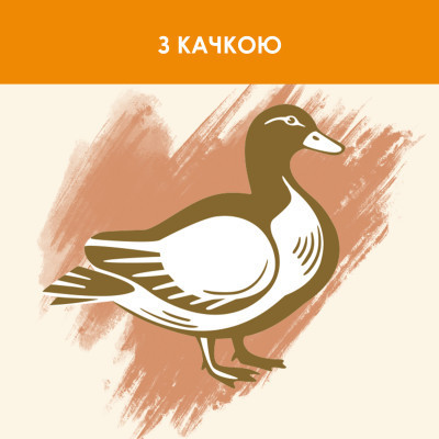 Сухой корм для кошек Purina Cat Chow Adult с уткой 1.5 кг (7613035394117) Винница - изображение 10