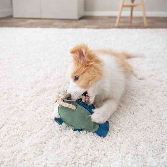 Іграшка Trixie для собак Риба на мотузці синій 28 см Київ