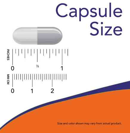 L- карнитин NOW L-Carnitine 500mg - 60 vcaps Київ