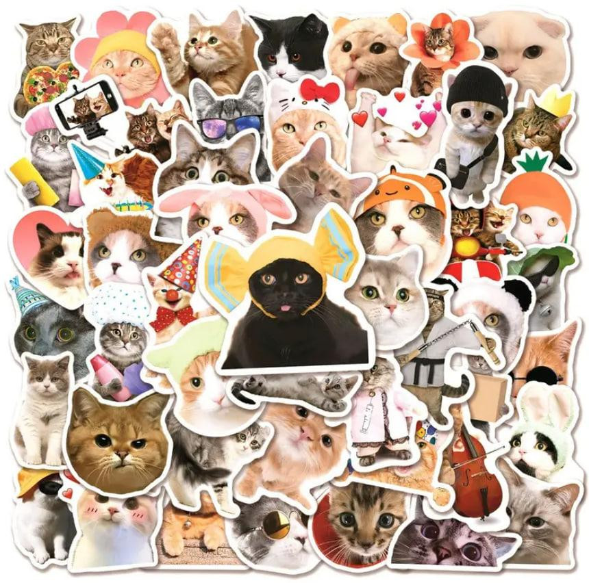 Наклейки Стікери Коти - Водонепроникні Вінілові Естетичні Наклейки з Котами для Пляшки Води, Комп'ют Київ - фото 4
