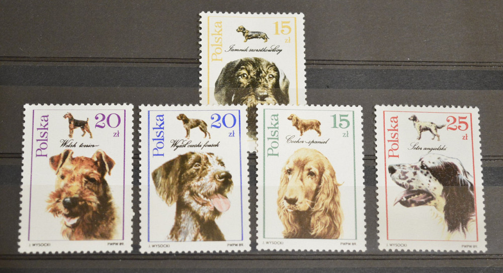 Польща. Фауна. 1989 рік Полтава - фото 1