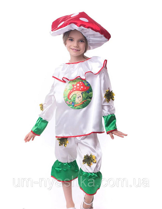 Костюм Мухомора, Карнавальний костюм Мухомор Кривий Ріг - фото 2