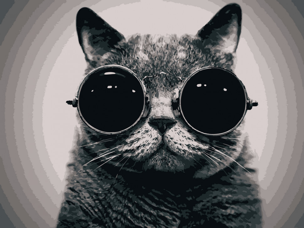 Картина за номерами. Art Craft "Кот Морфіус" 40 * 50 см 11607-AC Вінниця - фото 1