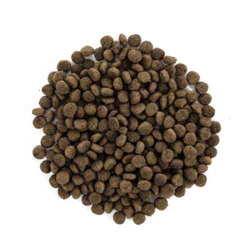 Корм сухий Brit Care Grain Free Mini Light Sterilised для дорослих собак дрібних порід з зайвою вагою або стерілізованих з к Київ