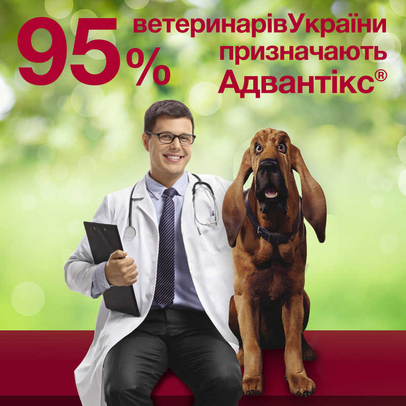 Краплі для собак 4-10 кг проти бліх і кліщів Bayer Elanco Advantix (Байєр Адвантис) 4 піпетки по 1 мл Запоріжжя - фото 5