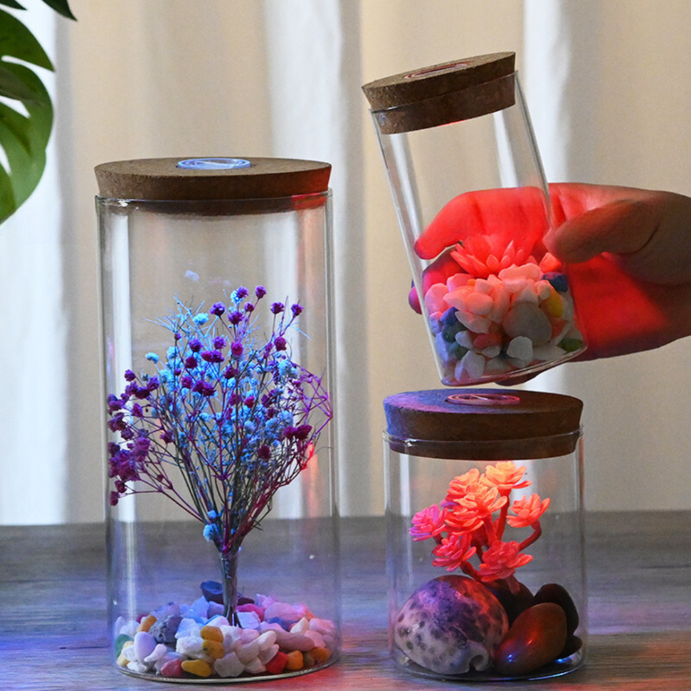 Стеклянная ёмкость для флорариума, моссариума, микропейзажа, интерьерных композиций с подсветкой Одесса - изображение 1