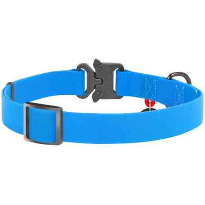 Ошейник для животных WAUDOG Waterproof с QR паспортом XL Ш 25 мм Д 35-58 см(голубой) (27842) Винница