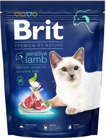 Сухий корм для кішок із чутливим травленням Бріт Brit Premium by Nature Cat Sensitive з ягням 300 г Вінниця