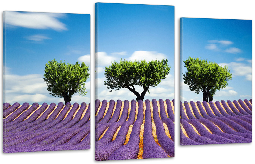 Модульна картина Природа Лаванда Art-46_3 Київ - фото 1