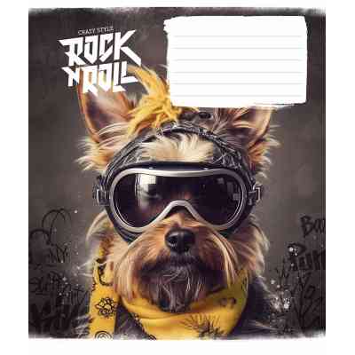 Зошит Школярик Rock star 12 аркушів коса лінія (012-3277L) Вінниця