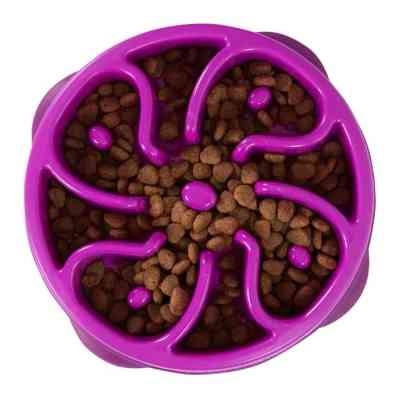 Посуда для собак Outward Hound Миска-лабиринт Fun Feeder Цветок средний фиолетовый (0700603510059) Винница