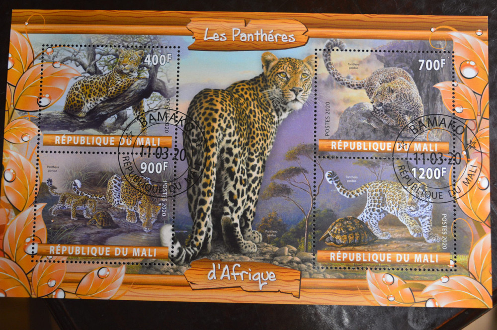 Малі. Марки. Фауна. Блок. 2020 рік (У-2) Полтава - фото 1