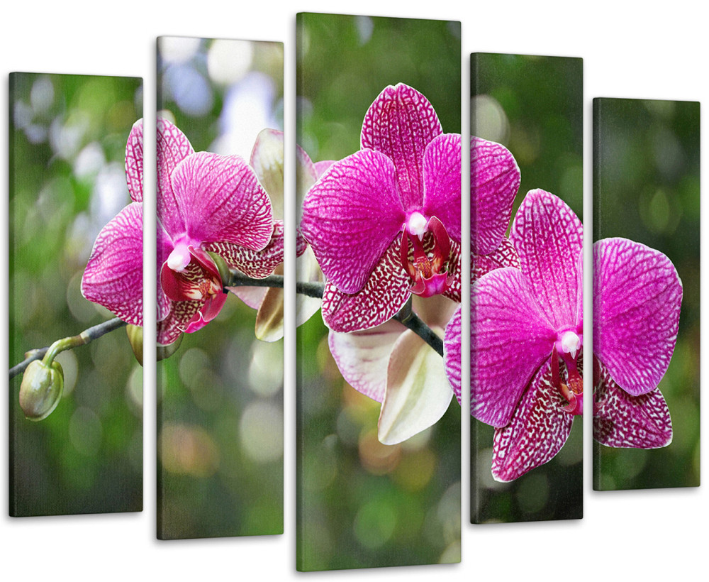 Модульна картина Орхідея Art-112_5 Київ - фото 1