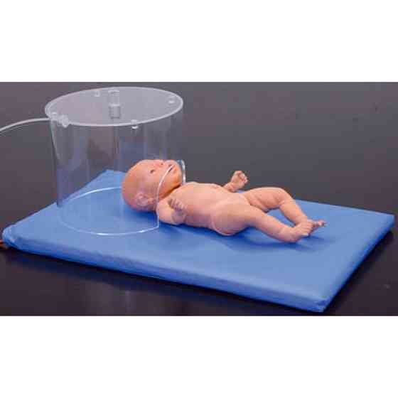 Шльопанці жіночі Чорний CB4018 Дніпро