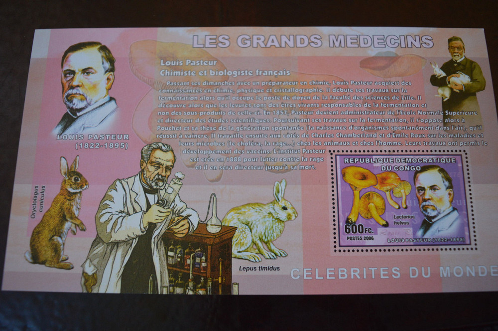 Коно. Марки. История и Личности . Блок. 2006 год (А-23) Полтава - изображение 1