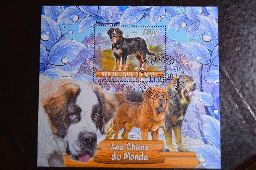 Малі. Марки. Фауна. Блок. 2020 рік (В-1) Полтава - фото 1