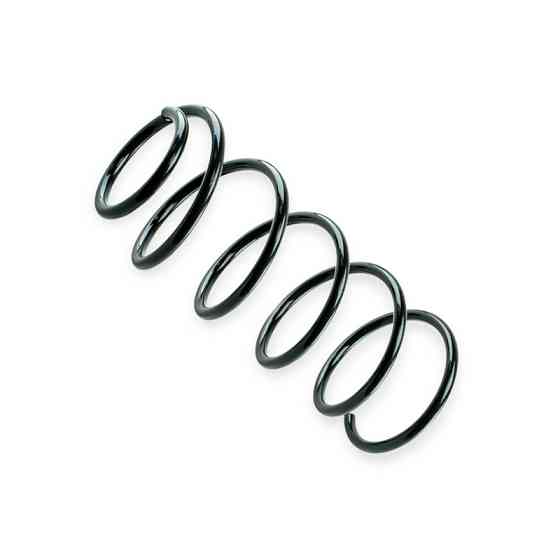 Пружина Lacetti () задня Мукачево