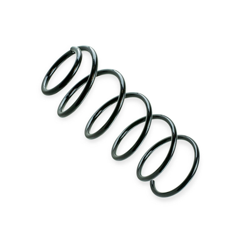 Пружина Lacetti () задня Мукачево - фото 1