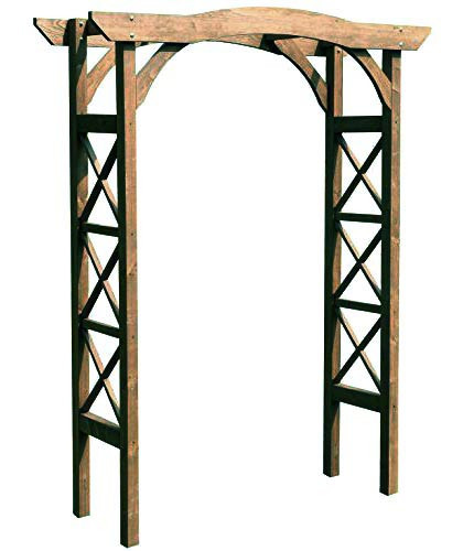 Пергола садова "Мадіста" мускат Миколаїв - фото 2