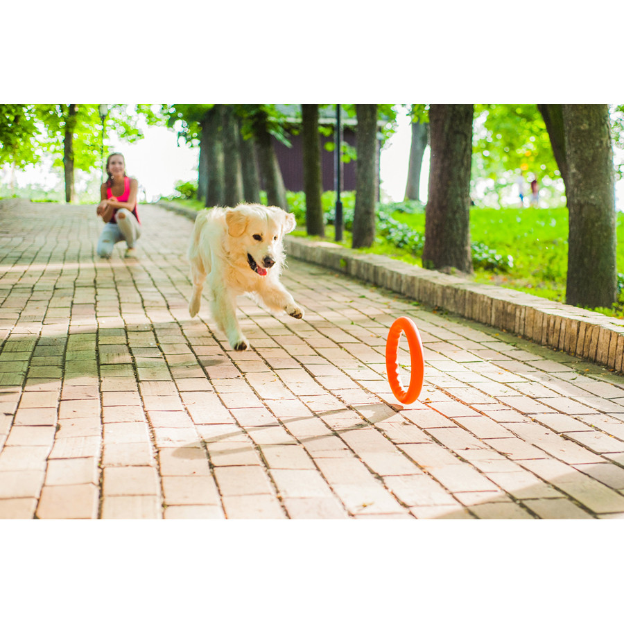 Кільце для апортировки PitchDog20, діаметр 20 см, помаранчевий Коломия - фото 7