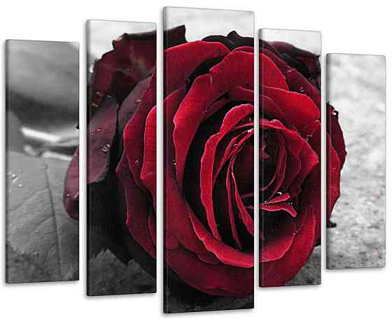 Модульна картина Троянда Art-31_5 Київ