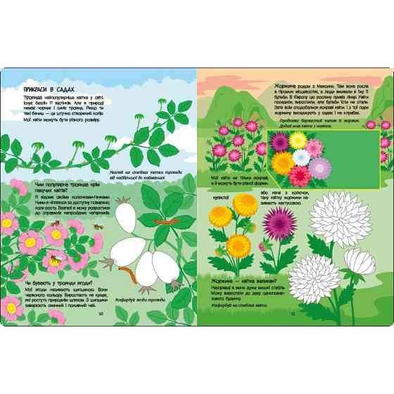 Развивающая тетрадь 