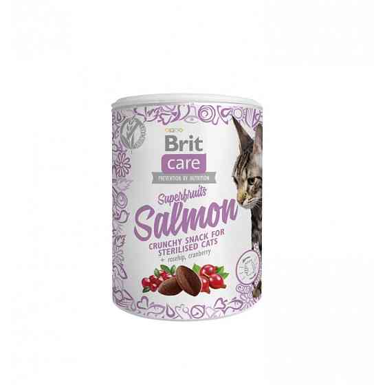 Лакомства для кошек Brit Care Cat Snack Superfruits Salmon, лосось, 100 г Винница