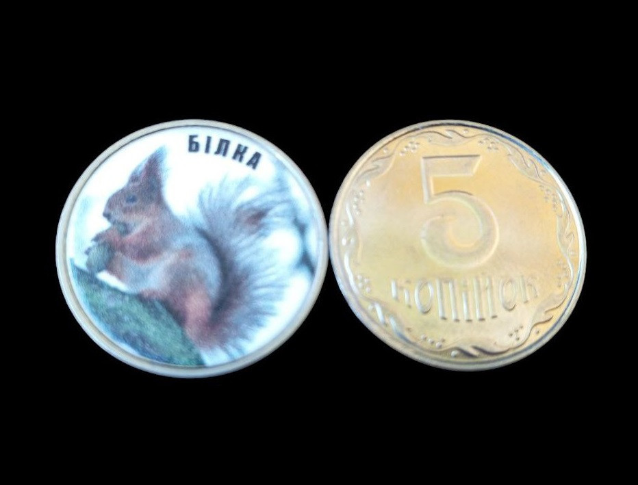 Україна 5 копійок монета нової серії ПРИРОДА УКРАЇНИ БІЛКА Полтава - фото 1