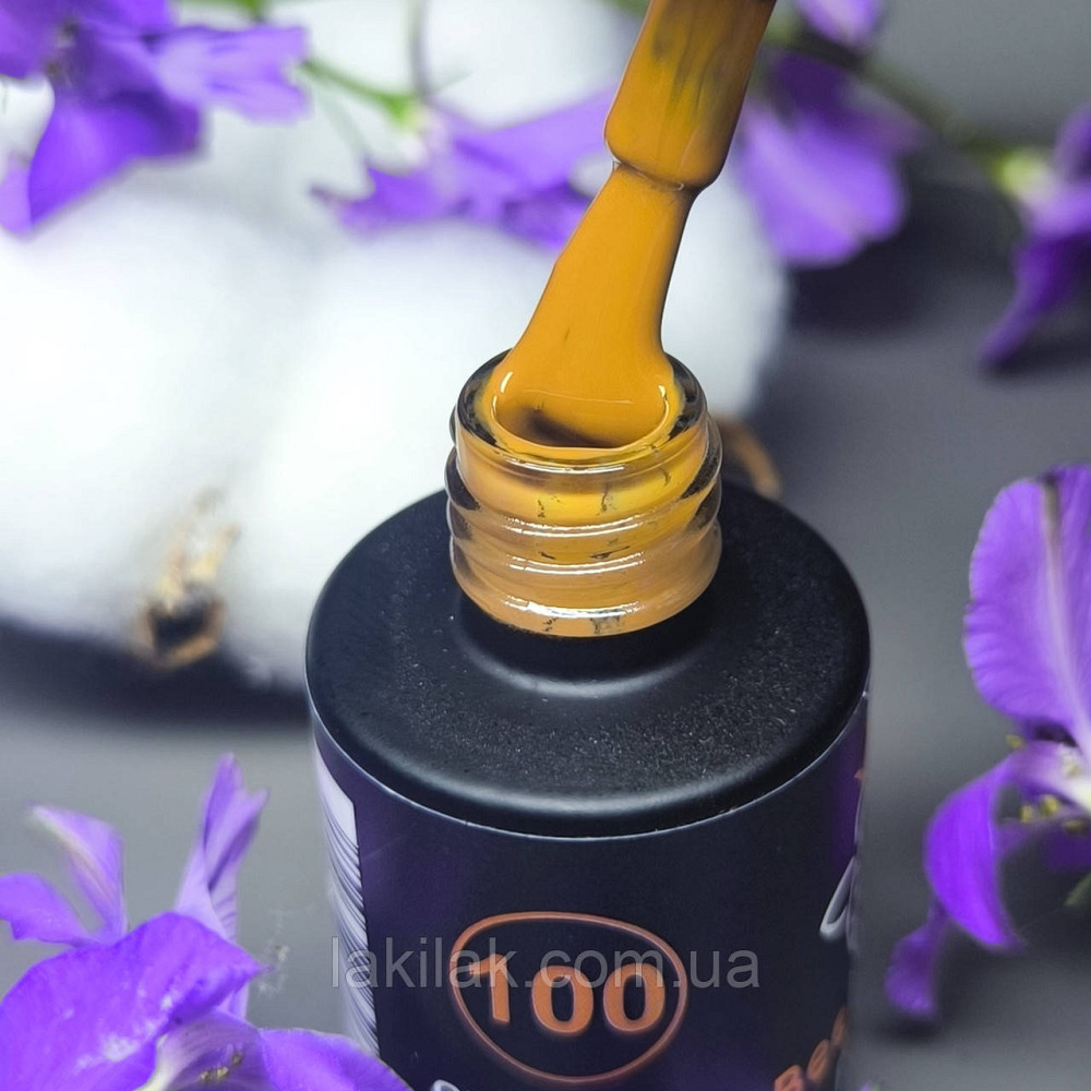Гель-лак для нігтів Bee Nails 100 (умбра) 8мл Херсон - фото 1