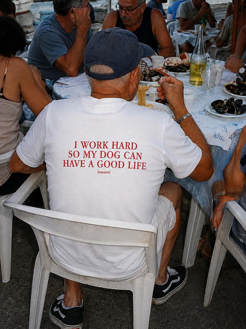 Чоловіча футболка з принтом «I WORK HARD SO MY DOG CAN HAVE A GOOD LIFE» XL, Білий Чернівці - фото 1