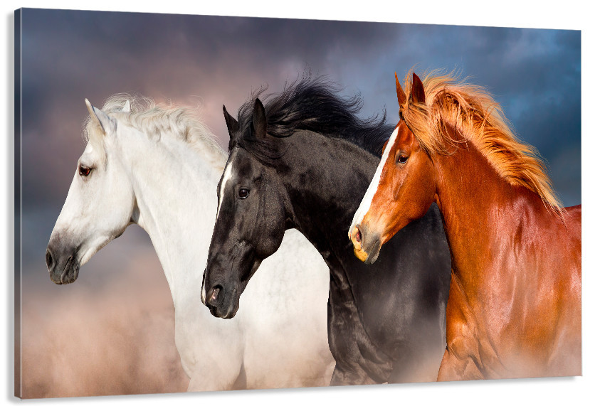 Картина полотно у вітальню / спальню  Три Коня  MLP_368 ( 60х30см ) 50x100 см Київ - фото 1