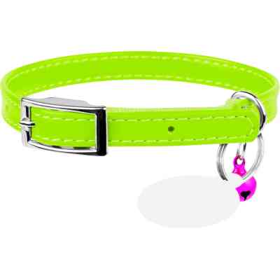 Ошейник для животных WAUDOG Glamour с QR паспортом Д 17-20 см салатовый (32755) Винница