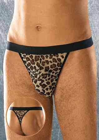 Чоловічі стрінги - Thong 4457, panther - S-L Sex Aura Київ