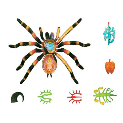 Пазл 4D Master Паук Тарантул (FM-622032) Винница - изображение 4