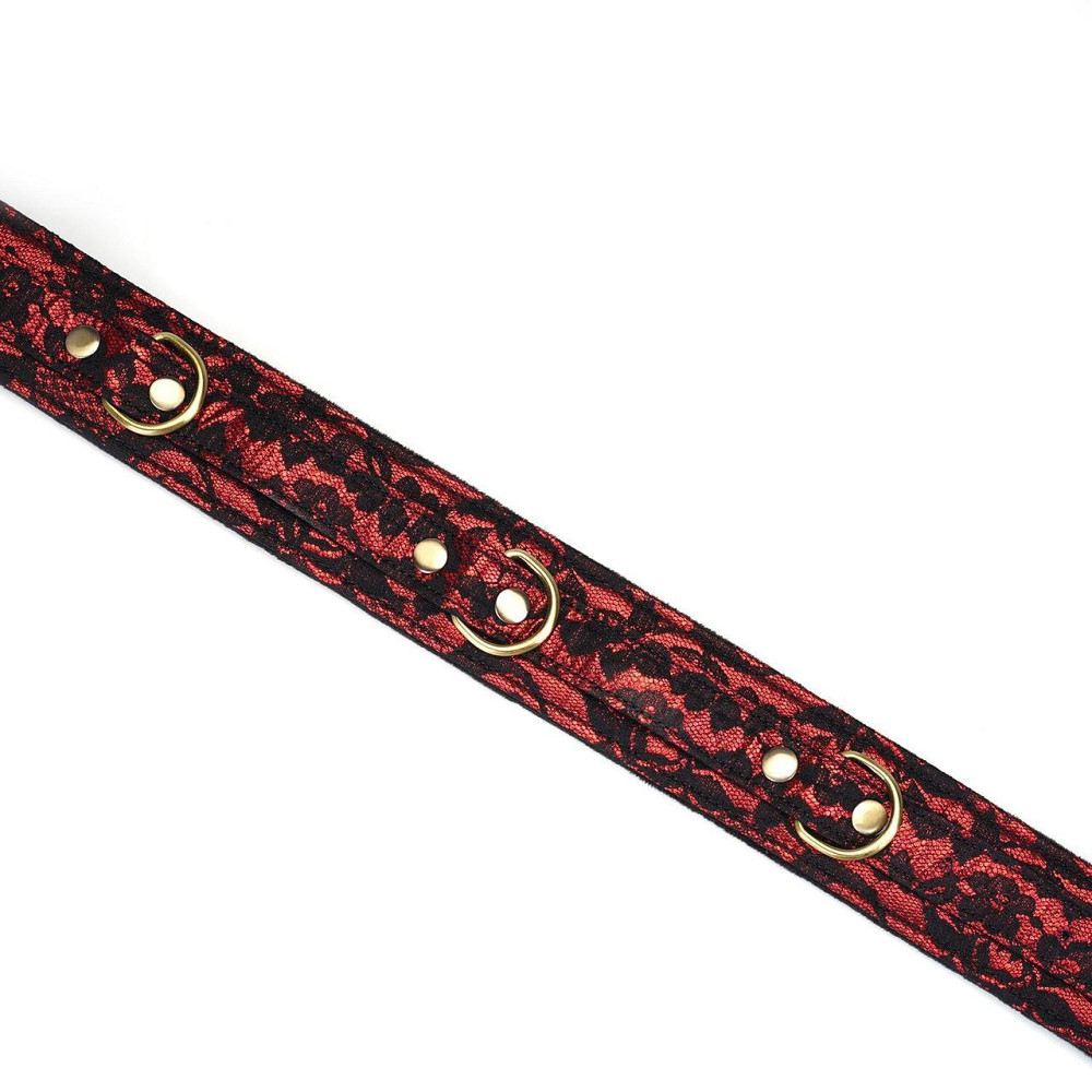 Нашийник з повідцем Liebe Seele Victorian Garden Collar with Leash Sex Aura Київ - фото 8