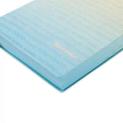 Тижневик Leo planner датований 2025 Aspire А5 368 сторінок (252590) Вінниця