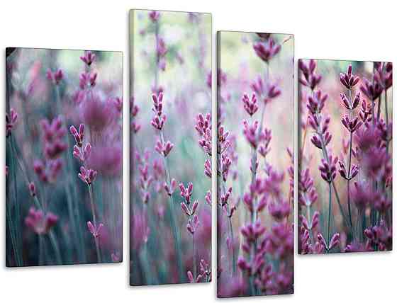 Модульная картина Лаванда (75х118 см) Art-46_4 110x160 см Киев