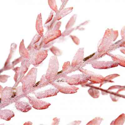 Декоративная ветвь YES! Fun Розовая Заснеженная 84 см (974812) Винница